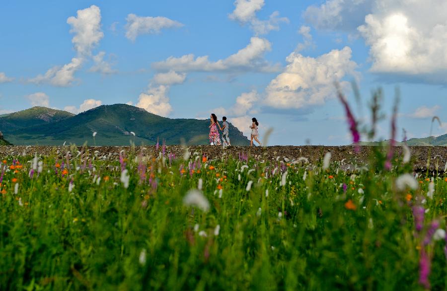 CHINA-INNER MONGOLIA-XILINGOL STEPPE-LANDSCAPE (CN) 