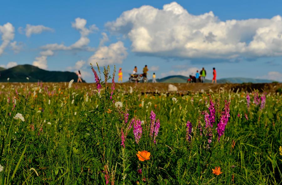 CHINA-INNER MONGOLIA-XILINGOL STEPPE-LANDSCAPE (CN) 