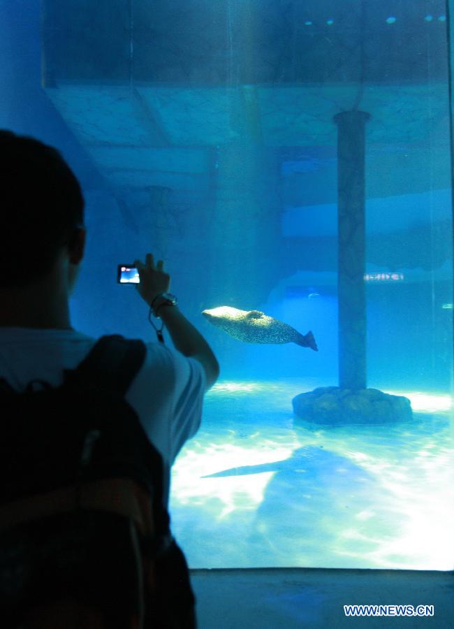 A visitor takes photos of the harbor seal at the 'North Pole Encounter' in the Ocean Park Hong Kong in Hong Kong, south China, July 17, 2012. The newly founded 'Polar Adventure' attracted visitors by its unique polar spectacle and rare polar animals since its opening on July 12. (Xinhua/Jin Yi) 