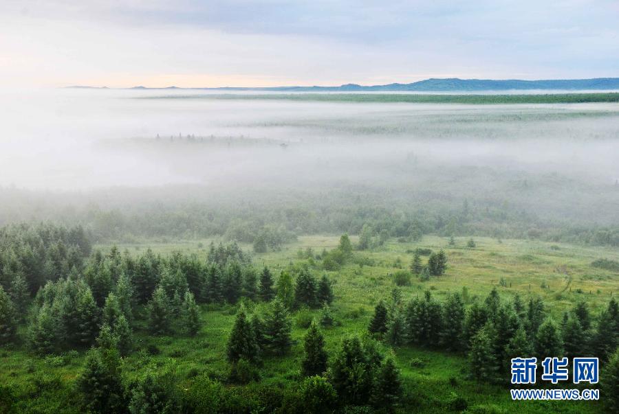 Photo taken on July 13, 2012 shows the scenery of Wuyiling wetlands enveloped in a morning fog in Yichun, northeast China's Heilongjiang Province. The Wuyiling Wetlands Natural Reserve has the highest wetlands in Lesser Khingan and the largest permafrost islets, containing a rich diversity of flora and fauna. [Xinhua]