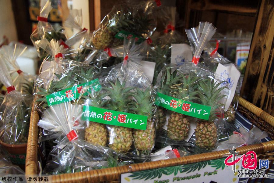 Nestled in the hills of northern Okinawa, Japan, the Nago Pineapple Park winery has turned into a major tourist attraction. The park features about 100 types of pineapple plants from around the world, flowers, ferns, tropical trees, seashells and, of course a gift shop and restaurant.[China.org.cn]