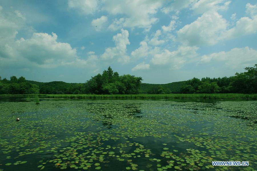 Photo taken on July 7, 2012 shows the scenery of the Jingbo Lake in Ning'an, northeast China's Heilongjiang Province. (Xinhua/Zhang Yanhui) 