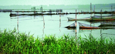 Weishan Lake in Shandong