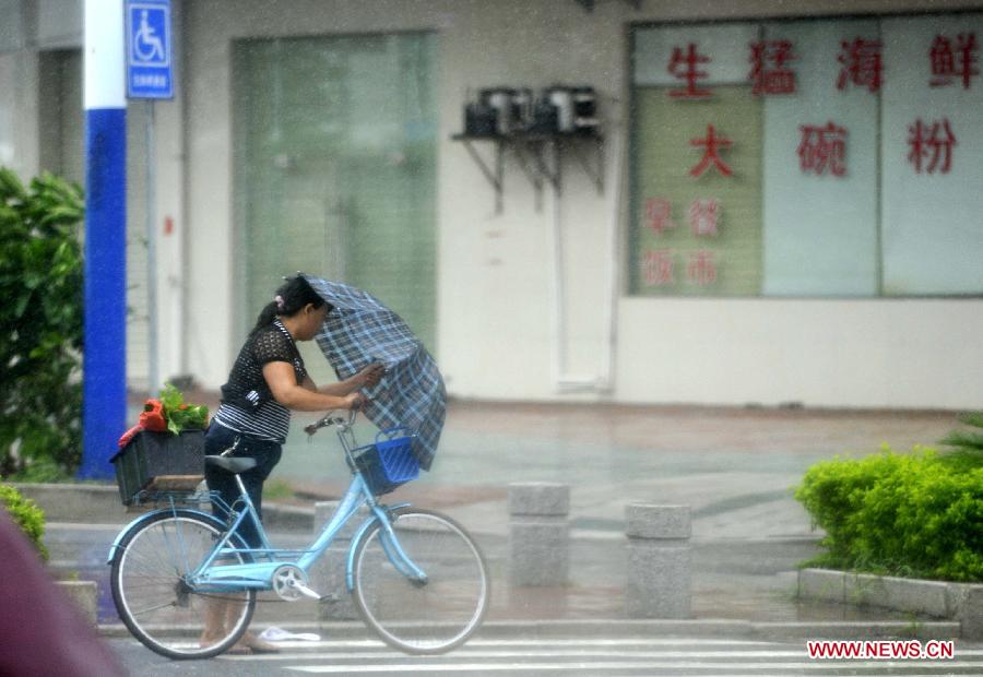 Typhoon Vicente sweeps China's Guangdong 