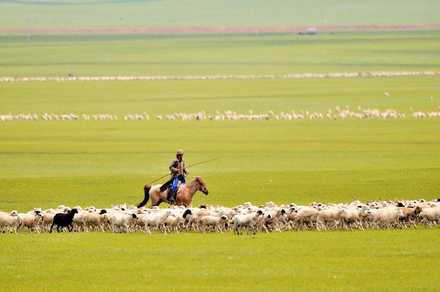 CHINA-INNER MONGOLIA-NEW BARAG LEFT BANNER-GRASSLAND-TOURISM (CN)