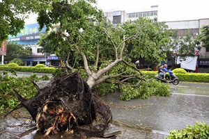 Typhoon Vicente slams Guangdong 