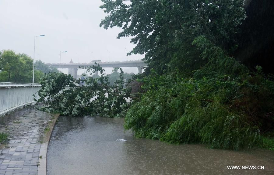 CHINA-TIANJIN-TORRENTIAL RAIN-FLOOD(CN)