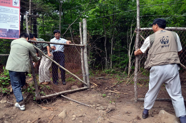  Personnel from the World Wild Fund for Nature and the Forestry Department of Jilin Province open a fence to release deer into the wild at Wangqing Nature Reserve in Jilin on Sunday.