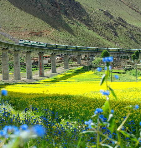 The Qinghai-Tibet Railway. [File photo] 