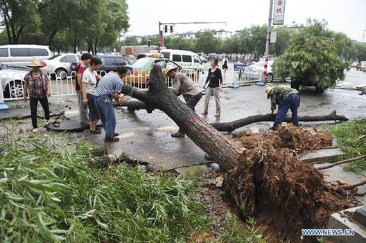 Workers clear a fallen tree from a road after heavy rain in Jincheng, north China's Shanxi Province, July 31, 2012. [Xinhua]