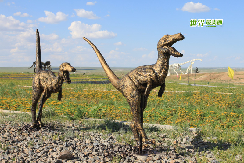 Erenhot is a city located in the Gobi Desert, in the Xilin Gol league of the Inner Mongolia Autonomous Region. Called the 'Dinosaur City' many fossils have been discovered in the area, including the biggest and best-preserved dinosaur fossil in Asia. [Sohu]