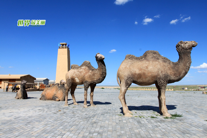 Erenhot is a city located in the Gobi Desert, in the Xilin Gol league of the Inner Mongolia Autonomous Region. Called the 'Dinosaur City' many fossils have been discovered in the area, including the biggest and best-preserved dinosaur fossil in Asia. [Sohu]