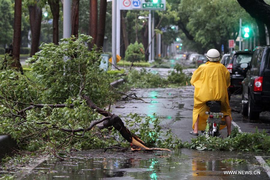 #CHINA-TYPHOON SAOLA (CN) 