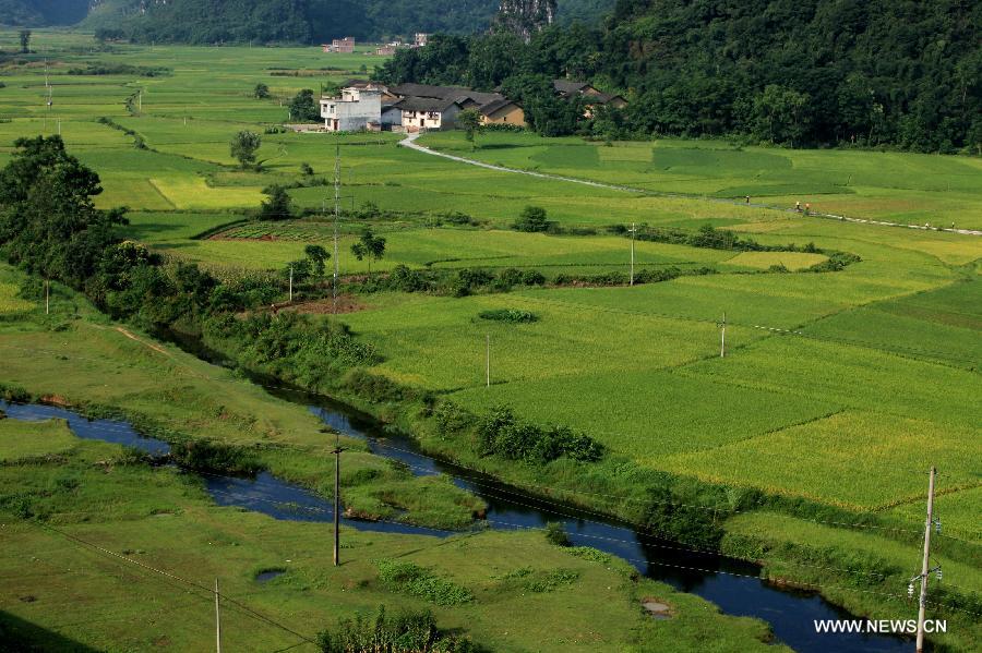 #CHINA-GUANGXI-IDYLLIC SCENERY (CN)