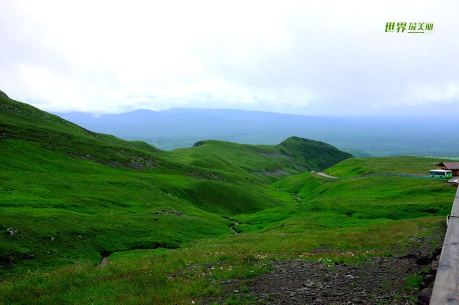 Changbaishan Nature Reserve in China - China.org.cn