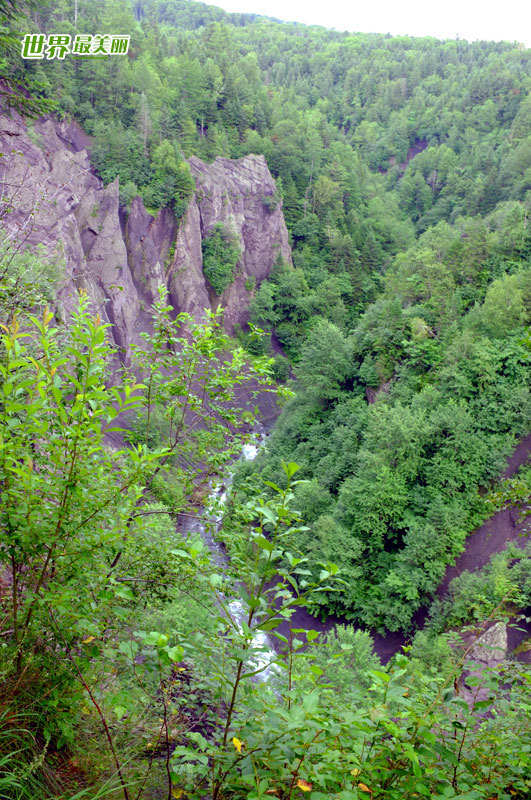 Changbaishan Nature Reserve in China - China.org.cn