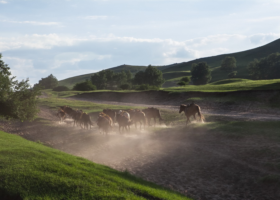 Photo taken on September 27, 2011 shows Hongshanjun horse training place (Wulanbutong grassland) in north China's Inner Mongolia. Wulanbutong Grassland is located in Hexigten Banner with only 300 km away from Beijing. [bbs.fengniao/ suiyi2208]