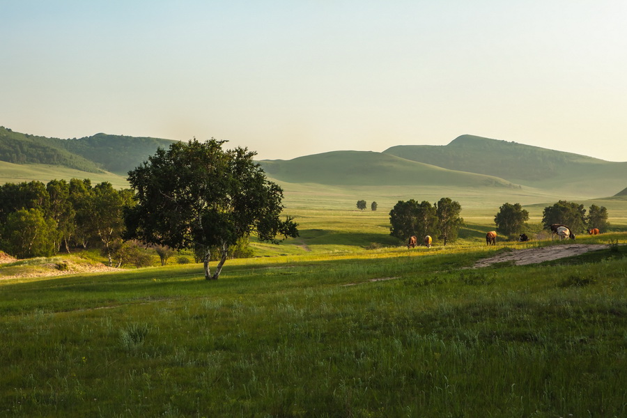 Photo taken on September 27, 2011 shows Hongshanjun horse training place (Wulanbutong grassland) in north China's Inner Mongolia. Wulanbutong Grassland is located in Hexigten Banner with only 300 km away from Beijing. [bbs.fengniao/ suiyi2208]