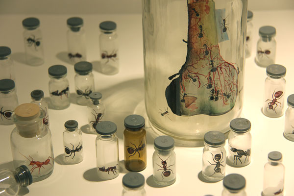 Ants portrayed on pharmaceutical bottles at the Today Art Musuem.[Photo:CRIENGLISH.com]