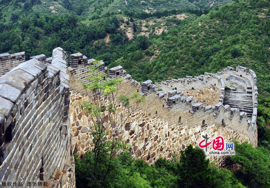 Straddling the demarcation between Hebei province and Beijing, the Jinshanling Great Wall is rich in architectural history and natural scenery. In summer, the temperature here is at least five degrees cooler than in the capital, making it an ideal destination for weekend excursions. This particular section of Great Wall is said to be particularly photogenic. [China.org.cn]