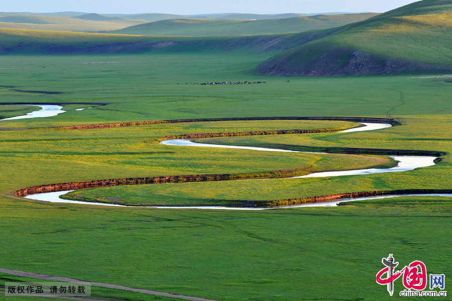 Located in northeastern Inner Mongolia, the Hulunbuir Grasslands are considered the 'most unsullied grasslands' in China. 