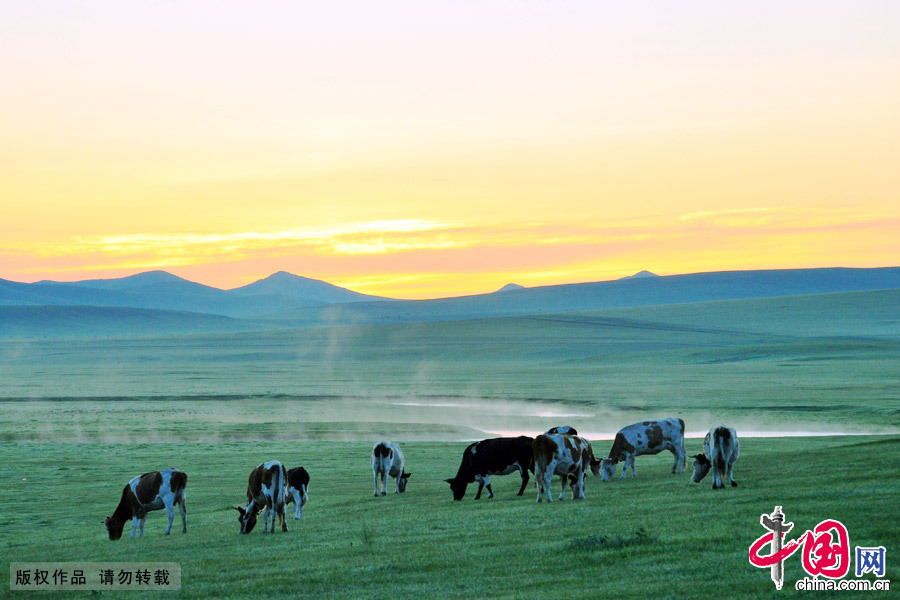 Located in northeastern Inner Mongolia, the Hulunbuir Grasslands are considered the 'most unsullied grasslands' in China. 