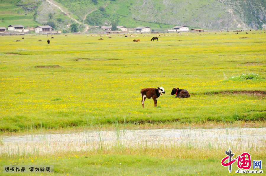 Literally meaning 'sun and moon in heart' in Tibetan, Shangri-la, an ideal home only found in heaven, is located at the meeting point of Tibet, Yunnan and Sichuan. [China.org.cn]