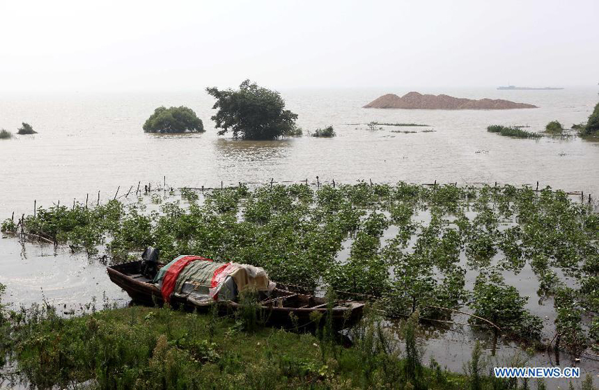 Photo taken on Aug. 12, 2012 shows the flooded cotton fields beside the Nanshantang Dock of the Poyang Lake in Duchang Town of Duchang County, east China&apos;s Jiangxi Province. The water level of the Poyang Lake, the country&apos;s largest freshwater lake, stood higher than the alert level on Sunday, due to typhoon-triggered torrential rainstorms.