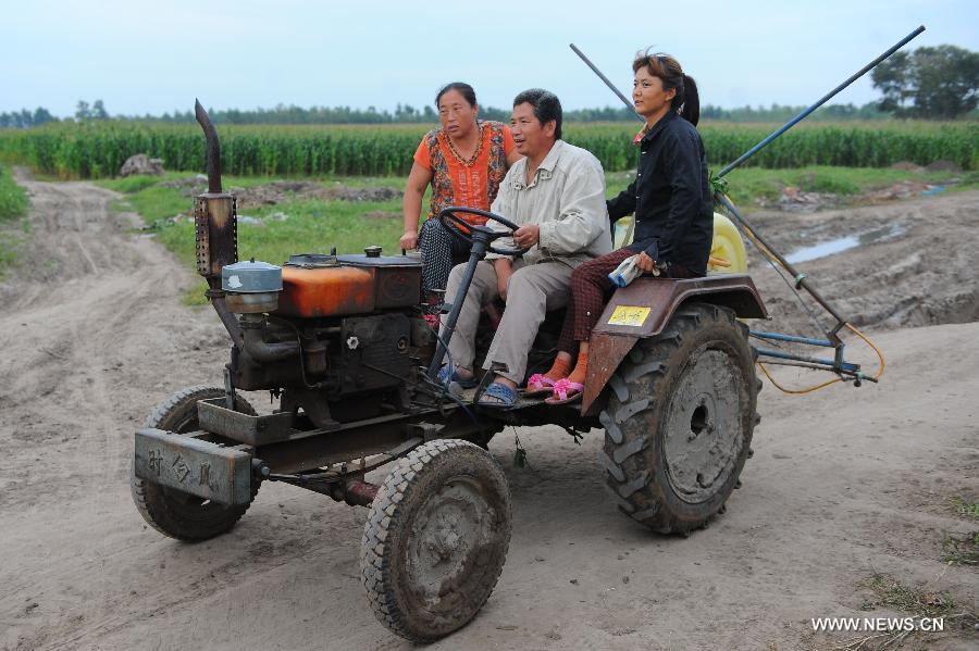 CHINA-JILIN-SIPING-ARMYWORM PLAGUE (CN) 