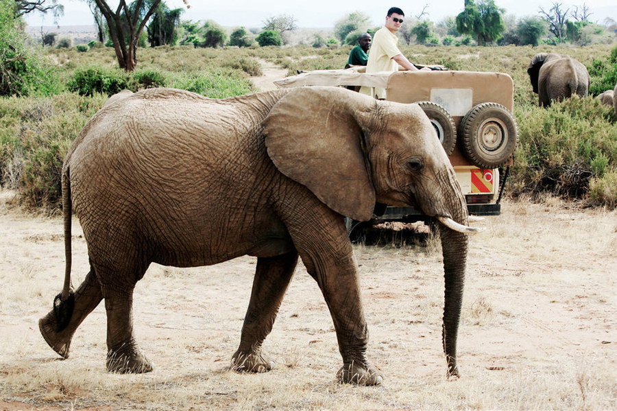 Retired NBA basketball player Yao Ming, an active supporter of wildlife conservation, is in Kenya to film a documentary on wild animals, to raise the international awareness of wild animal protection.