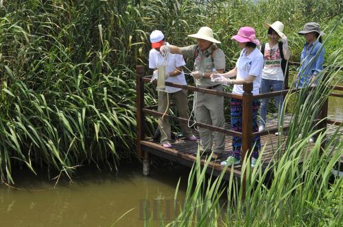 FIELD WORK: Journalists from Beijing and Shanghai examine water conditions near the source of the Huangpu River in the Dianshan Lake in Shanghai on June 15 (LU PENG) 