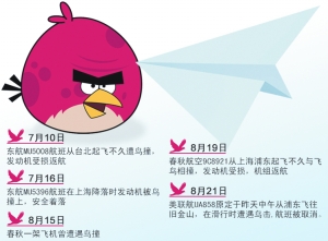 Seaside airports easily fall victim to bird hits as flight routes often conflict with the migratory routes of birds, especially in summer, the high activity season for birds, according to civil aviation experts.[ File photo]