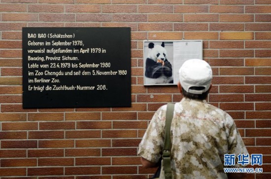 A giant panda from China died in Berlin's zoo on Wednesday at the age of 34.[ Photo / Xinhua ]