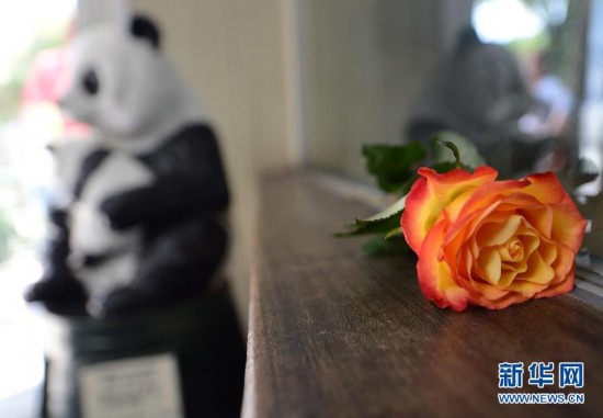 A giant panda from China died in Berlin's zoo on Wednesday at the age of 34.[ Photo / Xinhua ]