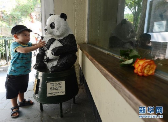 A giant panda from China died in Berlin's zoo on Wednesday at the age of 34.[ Photo / Xinhua ]