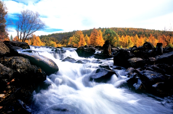 Aershan National Forest Park, one of the 'Top 10 attractions of Inner Mongolia, China' by China.org.cn