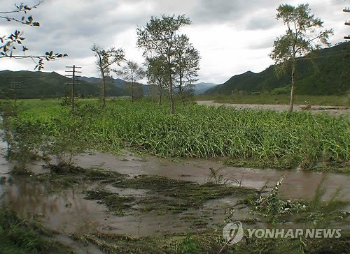 Typhoon Bolaven caused severe damage to the Democratic People's Republic of Korea, leaving 48 people dead and 21,180 homeless, the official news agency KCNA reported on Monday.