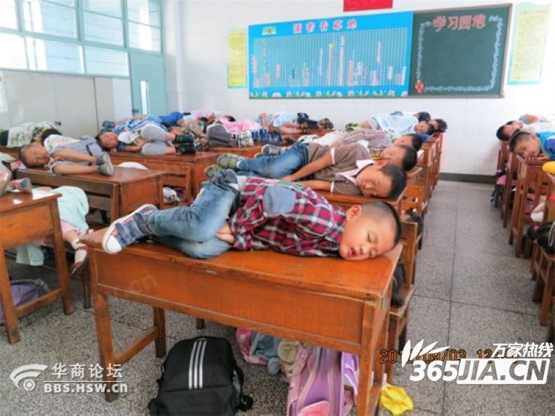Children In Nw China Nap On School Desks China Org Cn