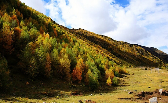 Nyingchi, Tibet, one of 'China's top 5 places to enjoy the fall scenery' by China.org.cn