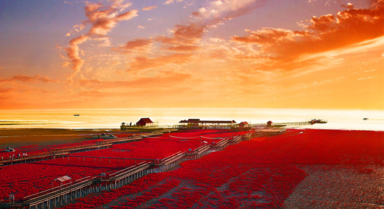 Red Beach, Liaoning, one of 'China's top 5 places to enjoy the fall scenery' by China.org.cn