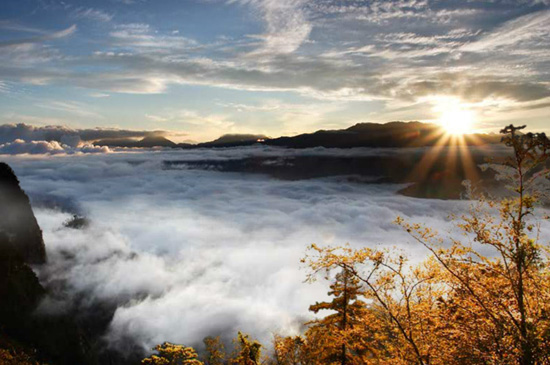Alishan National Scenic Area,one of the 'Top 10 attractions in Taiwan, China' by China.org.cn.
