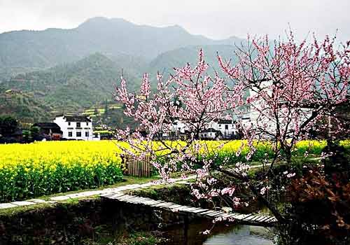 Peach Blossom Land, one of the 'top 10 attractions in Hunan, China' by China.org.cn.