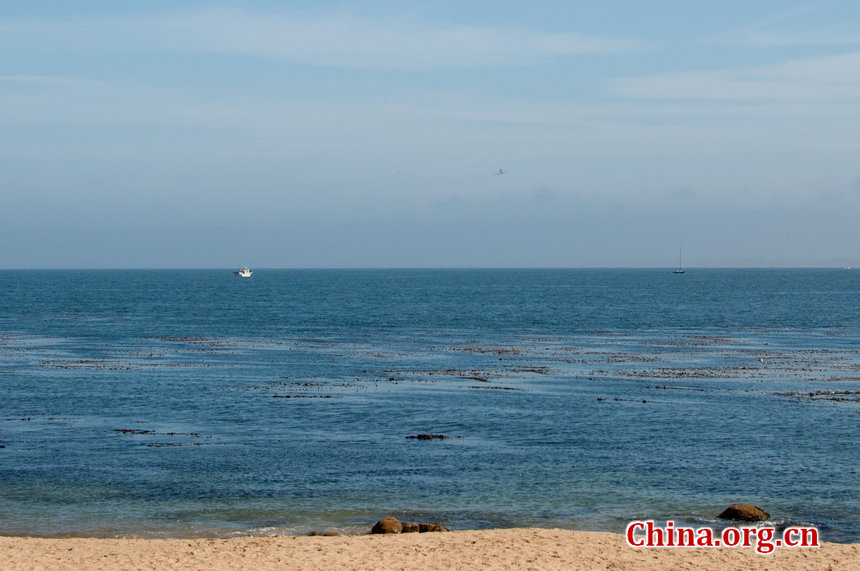 NASA retired space shuttle Endeavor swoop over the Monterey Bay, California, USA at around 10:50 a.m, Friday. during its last final aerial tour in the limelight, before landing safely at the Los Angeles International Airport around 1 p.m. [Chen Boyuan/China.org.cn]