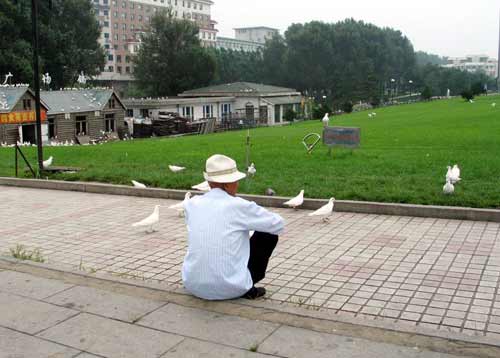 China sees growing elderly 'empty-nesters' [File photo]