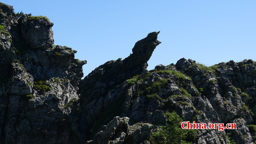 Shennongjia locates at the confluence of Yangtze river and Han river, the border between Sichuan and Hubei province. It is boasted as the ridge of central China and the only oasis lies at 30 degree north latitude.