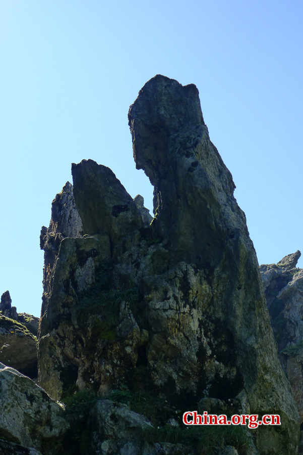 Shennongjia locates at the confluence of Yangtze river and Han river, the border between Sichuan and Hubei province. It is boasted as the ridge of central China and the only oasis lies at 30 degree north latitude.