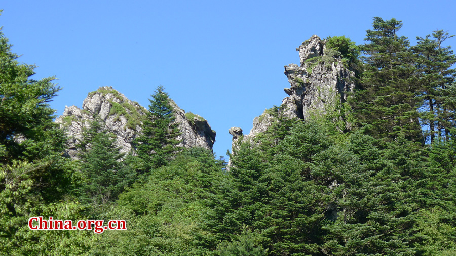 Shennongjia locates at the confluence of Yangtze river and Han river, the border between Sichuan and Hubei province. It is boasted as the ridge of central China and the only oasis lies at 30 degree north latitude.