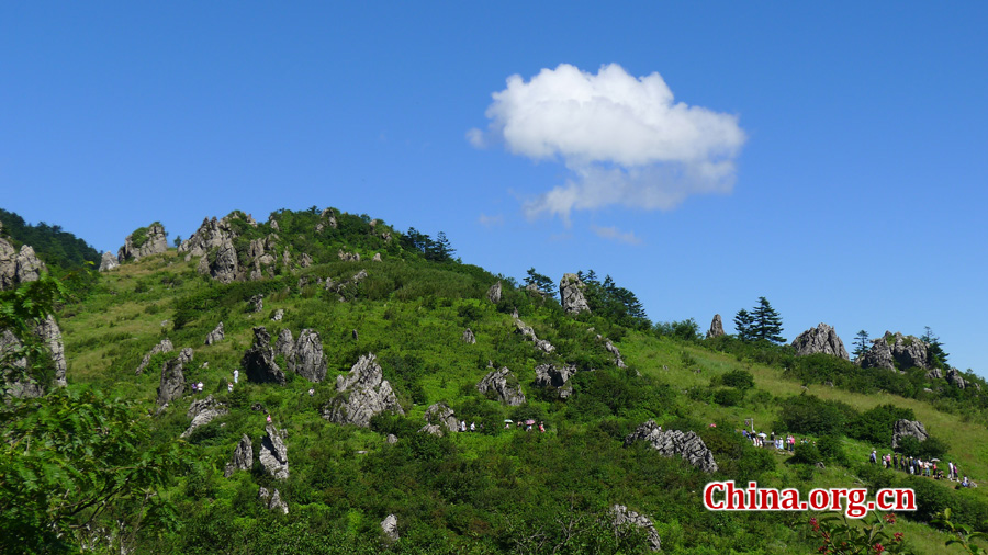 Shennongjia locates at the confluence of Yangtze river and Han river, the border between Sichuan and Hubei province. It is boasted as the ridge of central China and the only oasis lies at 30 degree north latitude.