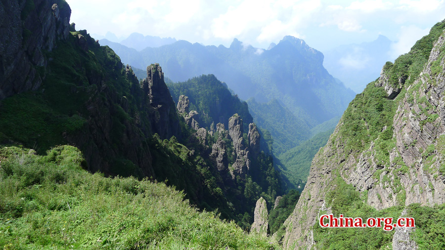 Shennongjia locates at the confluence of Yangtze river and Han river, the border between Sichuan and Hubei province. It is boasted as the ridge of central China and the only oasis lies at 30 degree north latitude.