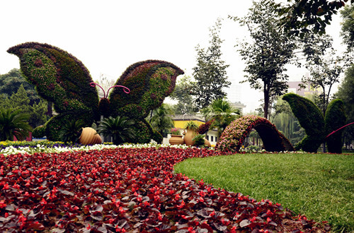 Jinan celebrates holidays with flowers